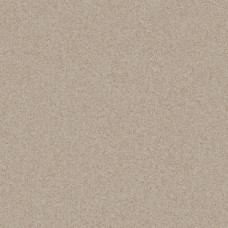 Линолеум коммерческий Tarkett Pragmatic FOCUS 1